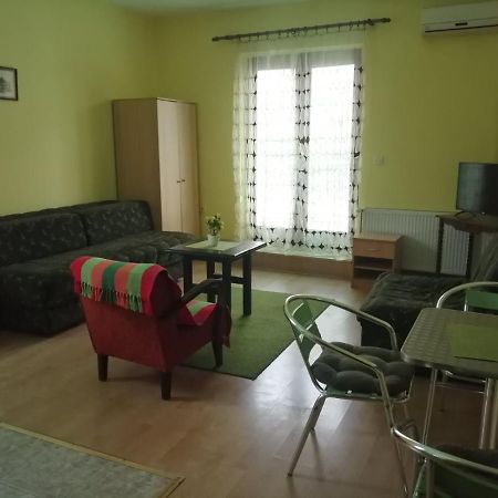 Apartments Hadzi Sokobanja Kültér fotó