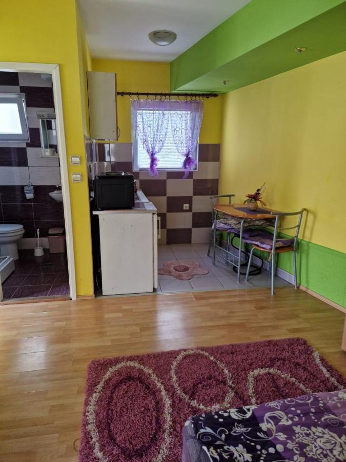 Apartments Hadzi Sokobanja Kültér fotó