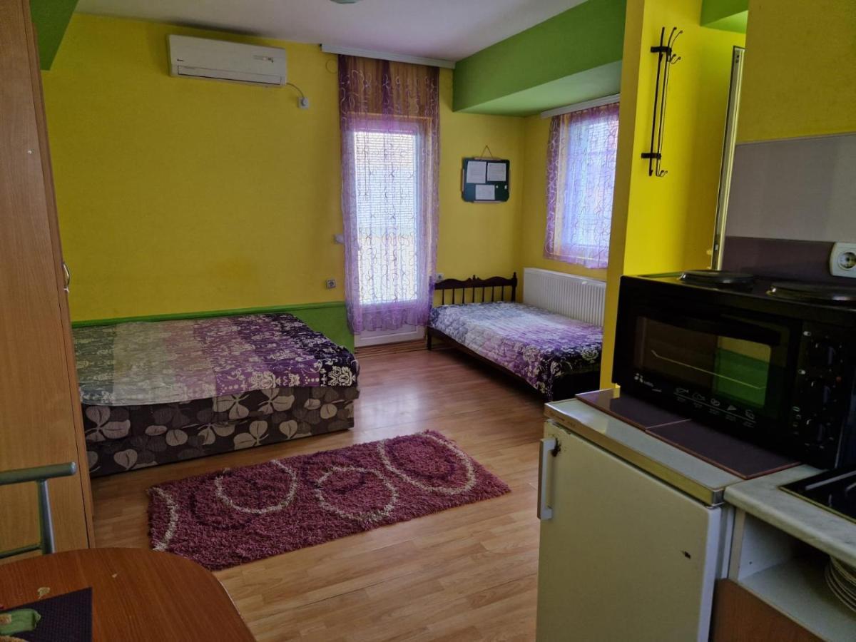 Apartments Hadzi Sokobanja Kültér fotó